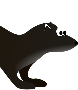 Patología de los Hurones Negros